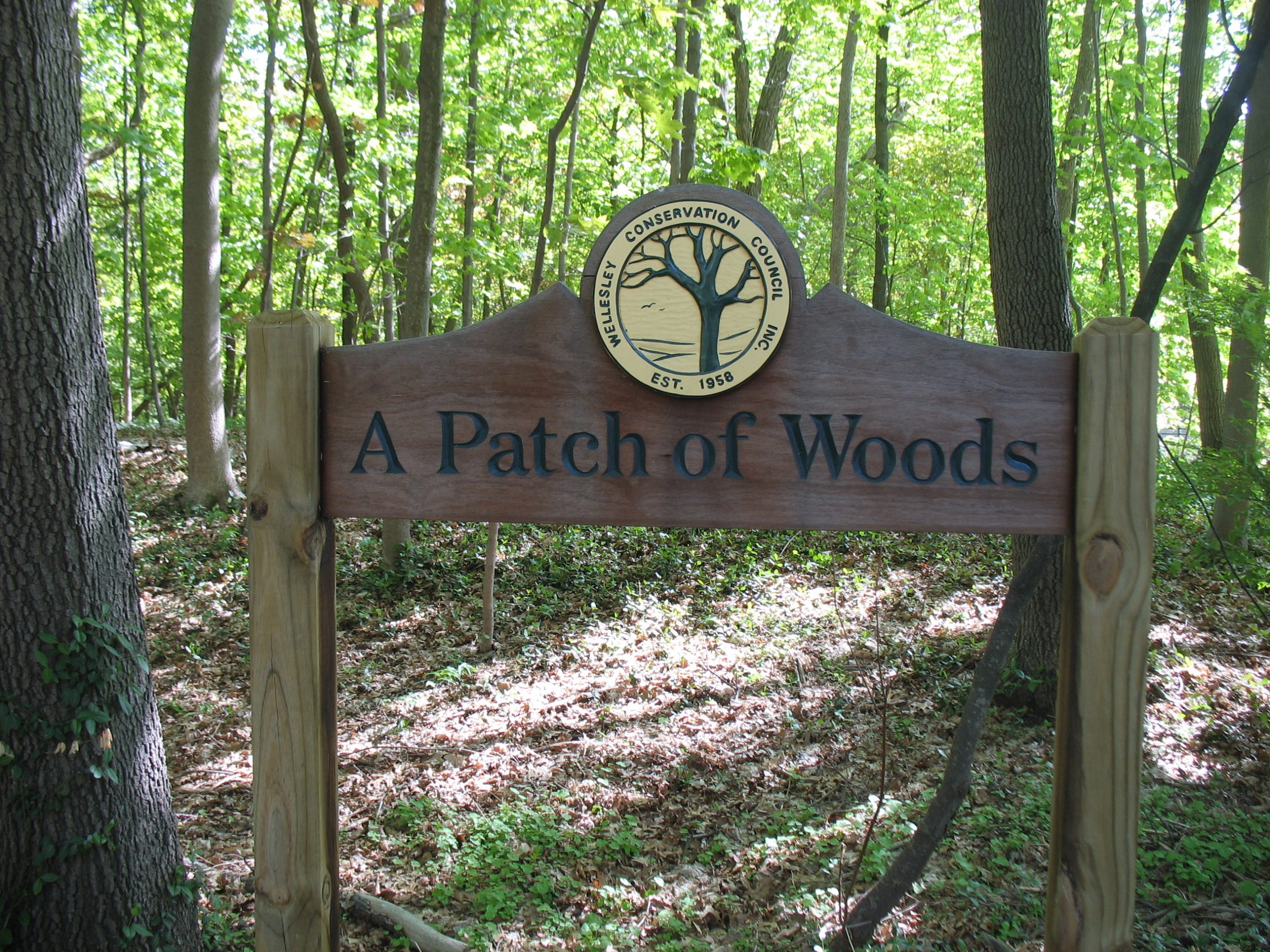 Patch of Woods Sanctuary Cleanup