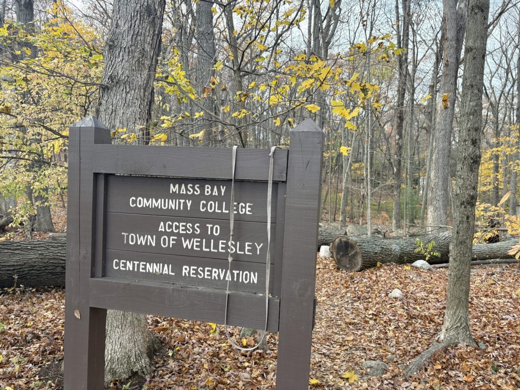 MassBay Forest, Wellesley