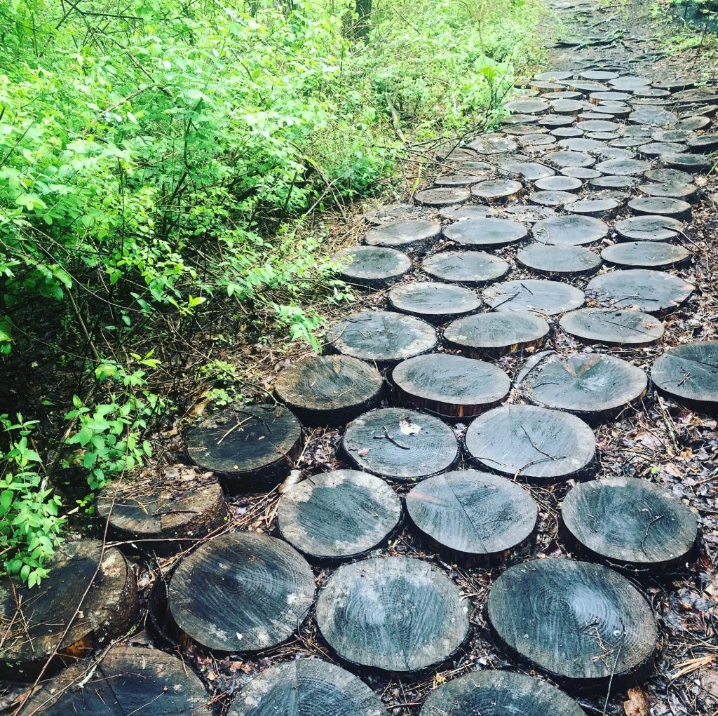 Guernsey Sanctuary, log platters, Wellesley