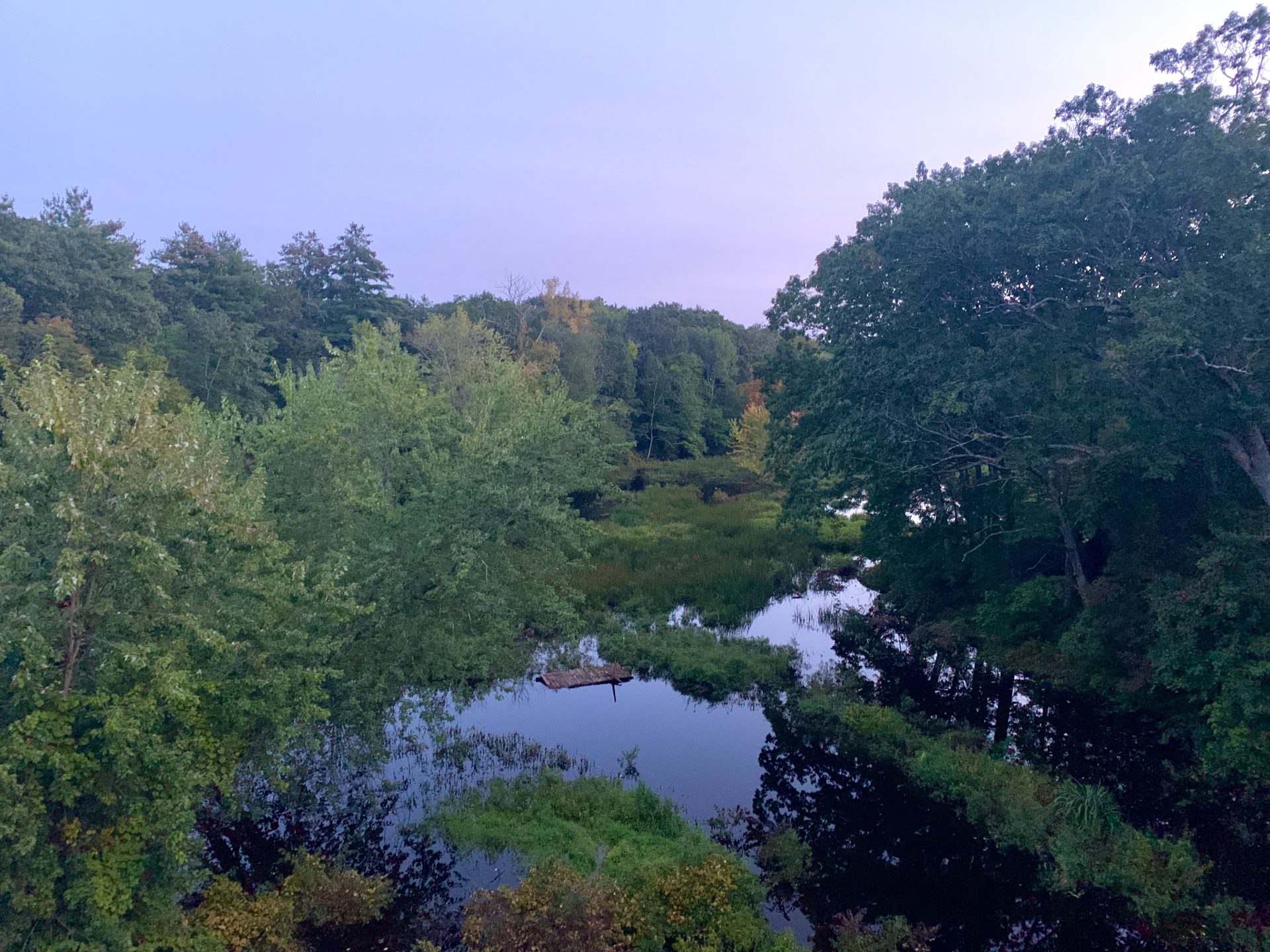 Wellesley Trails Committee—Guided Walk, Sudbury Path and Waban Arches
