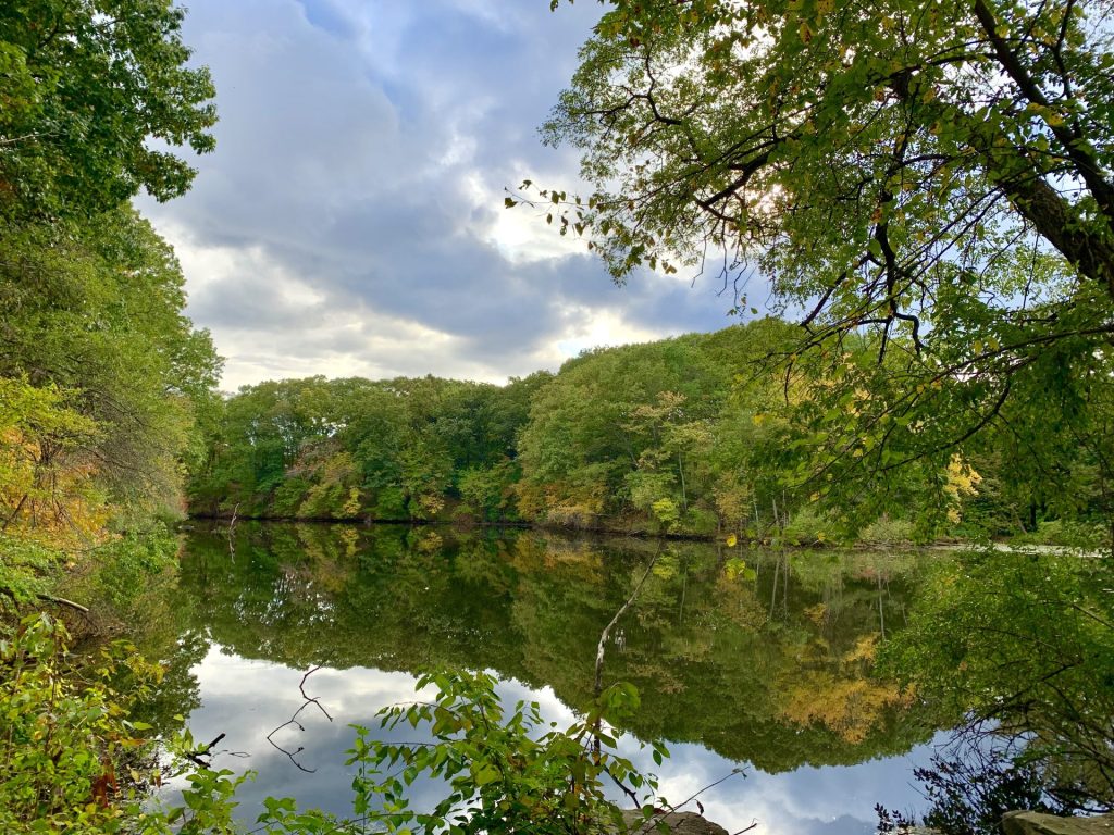 Longfellow Pond, Wellesley