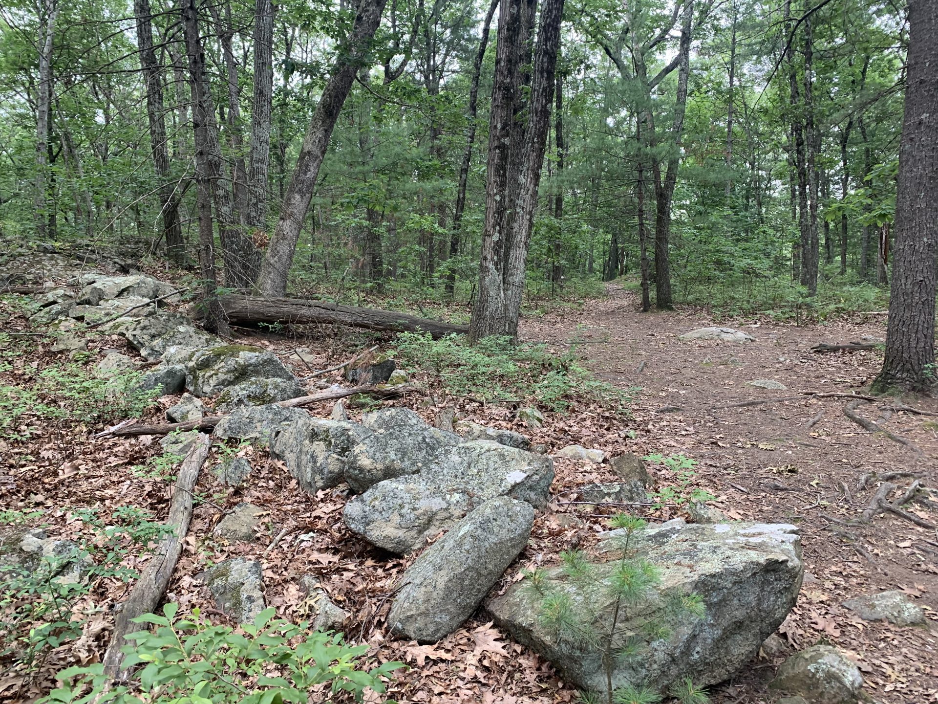 POSTPONED--Wellesley Conservation Land Trust Geology Walk